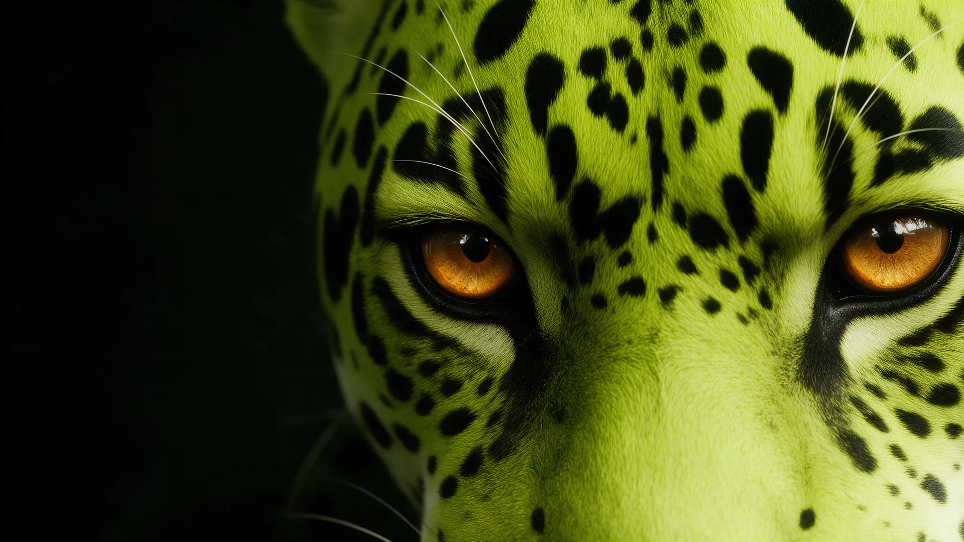 Close-up of the lime Night Jaguar's eyes